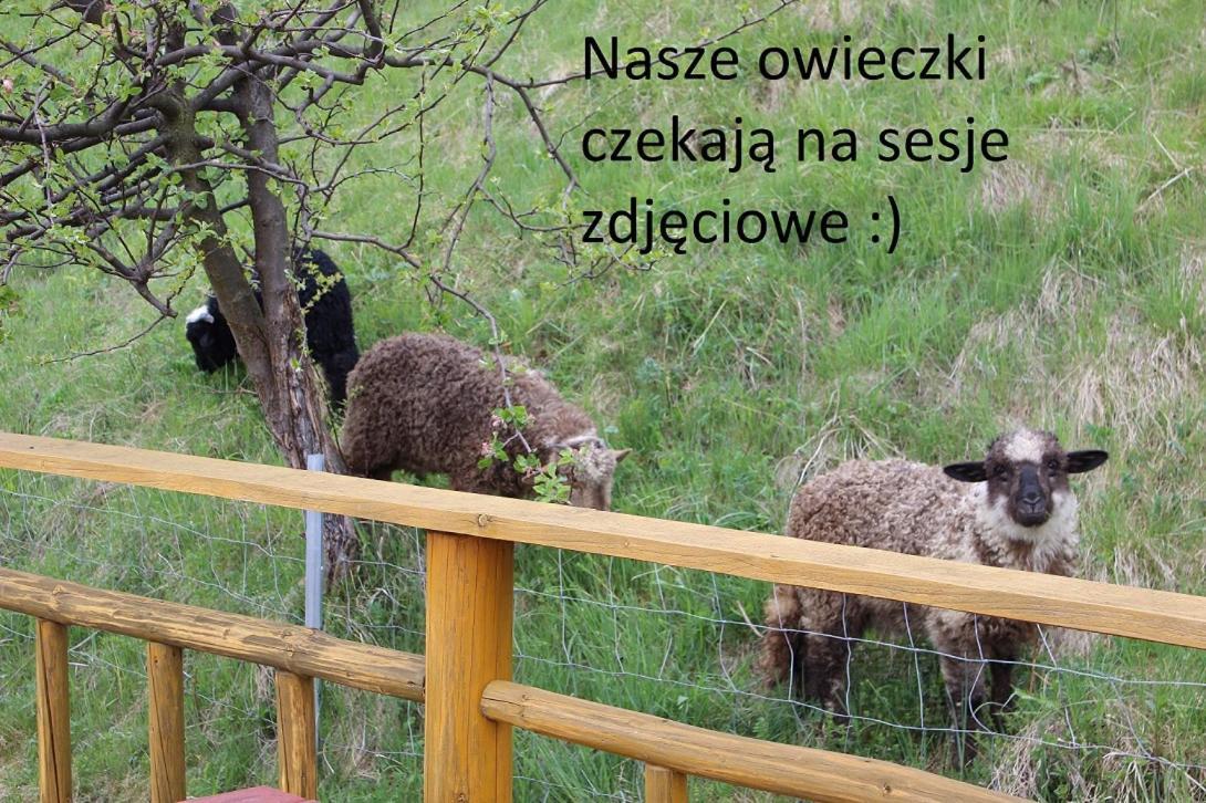Pod Zielonym Wierchem Zakopane